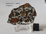 "Awsserd 002" Pallasite MG Slice 15.56g
