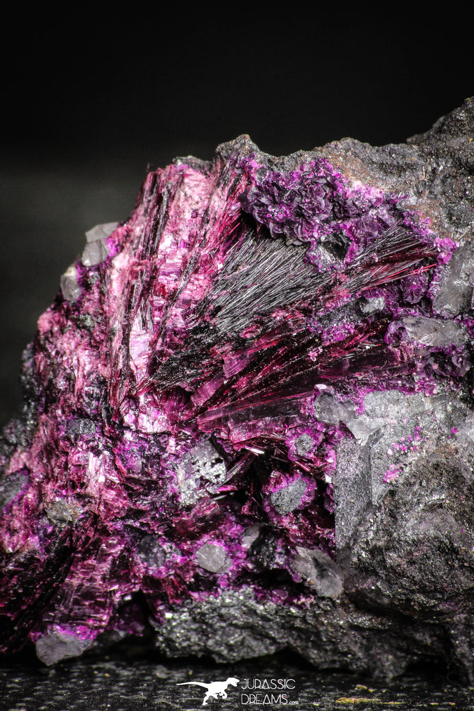 22099 - Nice Pink Erythrite Crystals on Matrix - Bou Azzer Mine (South Morocco)
