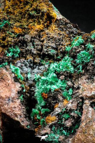 04989 -  Well Crystallized Acicular Brochantite with Quartz from South Morocco