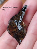 "Awsserd 002" Pallasite MG Slices 11.58g & 3.85g