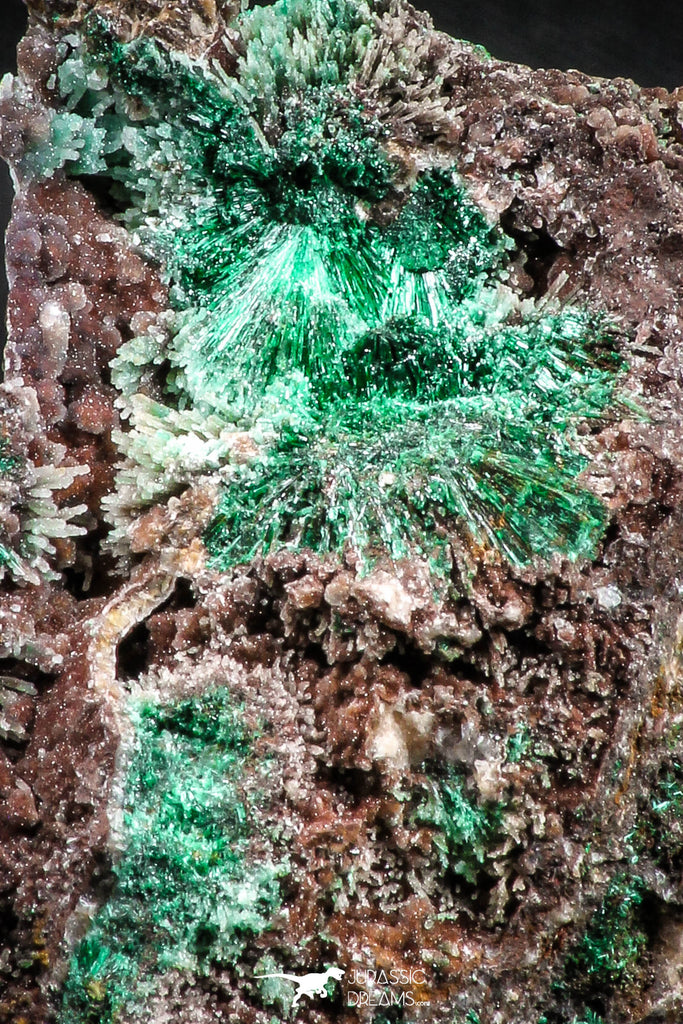 04987 -  Well Crystallized Acicular Brochantite with Quartz from South Morocco