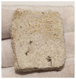 13008 - Exceedingly Rare Saltasaurus Titanosaur Egg Shell - Late Cretaceous