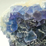 SWJ0025 - Finest Grade Blue Fluorite Crystal Cluster from Blanchard Mine (New Mexico)