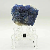 SWJ0025 - Finest Grade Blue Fluorite Crystal Cluster from Blanchard Mine (New Mexico)