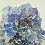 SWJ0025 - Finest Grade Blue Fluorite Crystal Cluster from Blanchard Mine (New Mexico)
