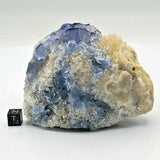 SWJ0026 - Finest Grade Blue Fluorite Crystal Cluster from Blanchard Mine (New Mexico)