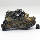 SWJ0048 - Exceedingly Rare Andradite Garnets with Tourmaline from Mexico