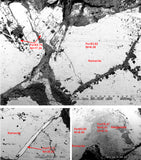 21258 - New Unpublished Complete Iron IAB Meteorite 2553g Fallen in Algeria
