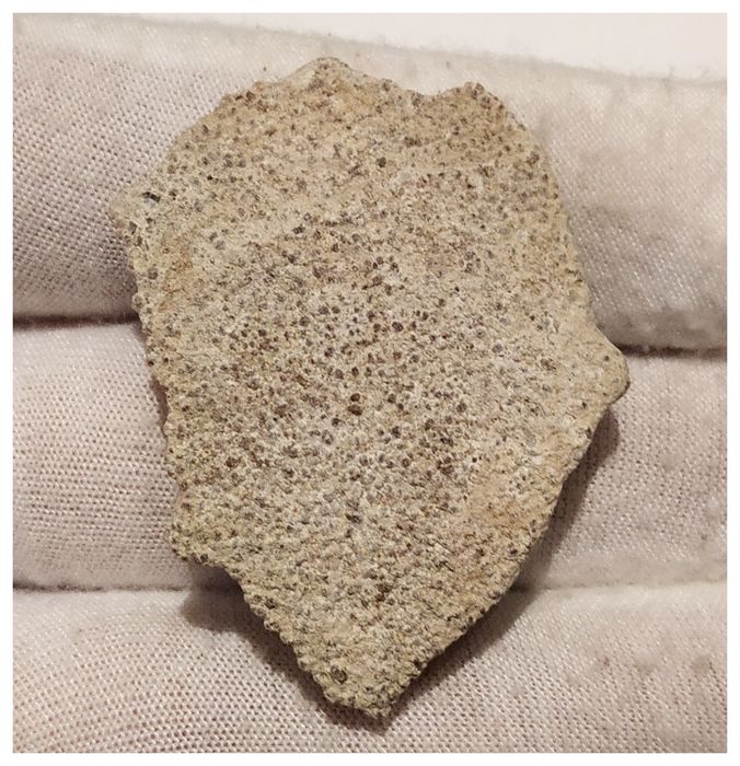 13010 - Exceedingly Rare Saltasaurus Titanosaur Egg Shell - Late Cretaceous