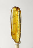 01023 - Choice Grade 0.93 Inch Baltic Amber With An Inclusion Of Fossil Insect (Diptera - Sciaridae Fly)