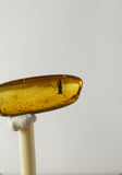 01036 - Rare Unidentified 0.71 Inch Baltic Amber With An Inclusion Of Fossil Insect