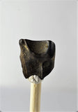 01039 - Partial Shed 0.38 Inch Triceratops horridus Dinosaur Tooth