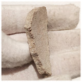 13011 - Exceedingly Rare Saltasaurus Titanosaur Egg Shell - Late Cretaceous