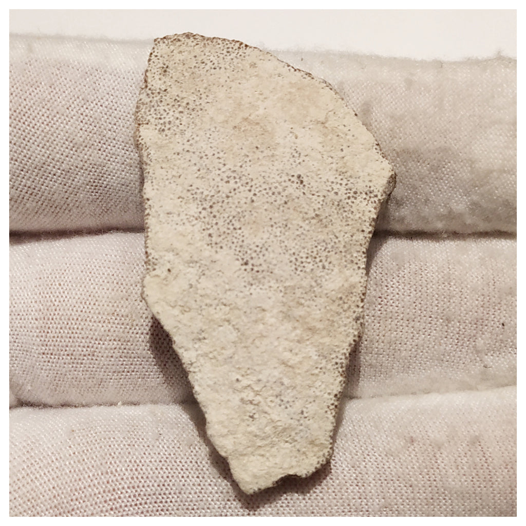 13011 - Exceedingly Rare Saltasaurus Titanosaur Egg Shell - Late Cretaceous