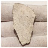 13011 - Exceedingly Rare Saltasaurus Titanosaur Egg Shell - Late Cretaceous