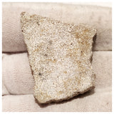 13012 - Exceedingly Rare Saltasaurus Titanosaur Egg Shell - Late Cretaceous