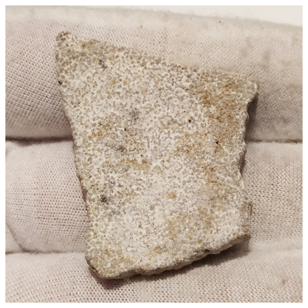 13012 - Exceedingly Rare Saltasaurus Titanosaur Egg Shell - Late Cretaceous