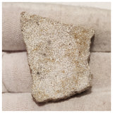 13012 - Exceedingly Rare Saltasaurus Titanosaur Egg Shell - Late Cretaceous