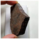 A76 - "NWA 13292" H3 Ordinary Chondrite Meteorite 52.33g Thick Crusted Slice
