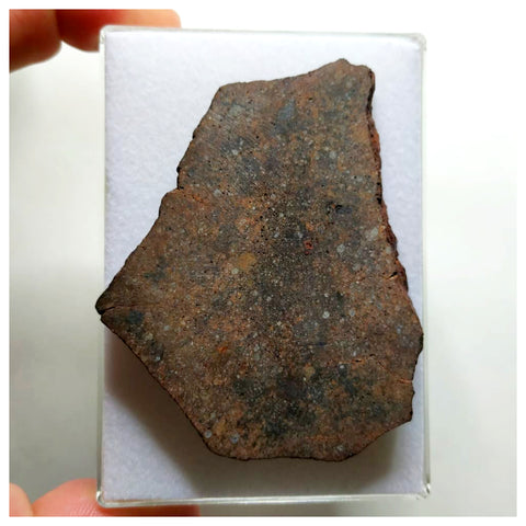 A76 - "NWA 13292" H3 Ordinary Chondrite Meteorite 52.33g Thick Crusted Slice