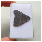14018 A54 - Nice "NWA 13752" Ureilite Primitive Achondrite Meteorite 1.40g Thin Slice