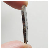 13000 A1 - New "NWA 14444" Pallasite Meteorite 6.89g Thin Etched Slice
