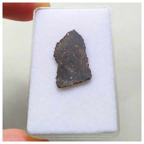 14019 A55 - Nice "NWA 13752" Ureilite Primitive Achondrite Meteorite 0.93g Thin Slice