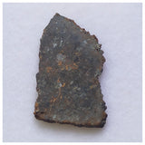 14019 A55 - Nice "NWA 13752" Ureilite Primitive Achondrite Meteorite 0.93g Thin Slice