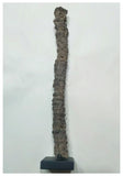 G53 -  Top Large Outstanding 22.8cm Fulgurite ("Petrified lightning") Collected in Algeria