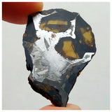 13001 A2 - New "NWA 14444" Pallasite Meteorite 6.25g Thin Etched Slice
