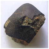 13032 A29 - Fresh Crusted NWA 13860 LL6 Ordinary Chondrite Meteorite 10.78g MAIN MASS