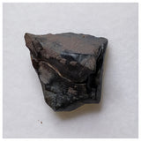 S53 - Ouranosaurus nigeriensis Basal Hadrosaur Dinosaur Tooth Cretaceous Elrhaz Fm