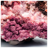 SWJ0034 - Finest Grade Pink Cobaltoan Calcite Crystals on Matrix - Bou Azzer Mine (Morocco)