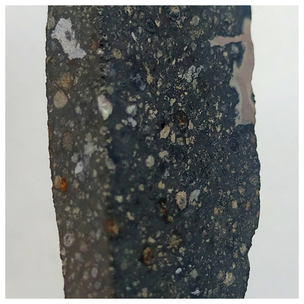 13101 A42 - ''NWA 14417'' CVox3 Carbonaceous Chondrite