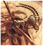 J47 - FUNGUS GNAT Mycetophilidae Fossil Inclusion Genuine BALTIC AMBER + HQ Picture