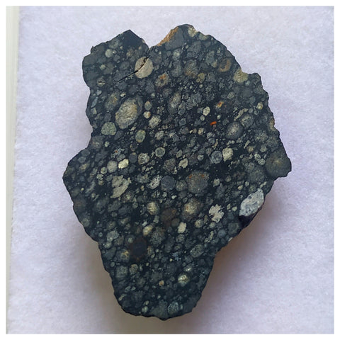 14000 A43 -''NWA 13258'' CVox3 Carbonaceous Chondrite Meteorite 3.44g Polished Endcut