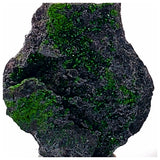 SWJ0067 - Rare Green Uvarovite (Garnet Group) Cluster - Russia