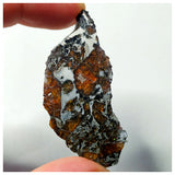 13016 - Amazing Scarce "AWSSERD 002" Pallasite Meteorite 11.44g Thin Polished Slice