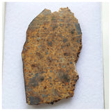 14017 A53 - Nice "NWA 13472" LL4-6 Ordinary Chondrite Meteorite 10.85g Crusted Slice