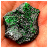 SWJ0067 - Rare Green Uvarovite (Garnet Group) Cluster - Russia