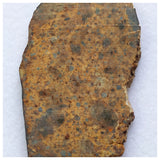 14017 A53 - Nice "NWA 13472" LL4-6 Ordinary Chondrite Meteorite 10.85g Crusted Slice