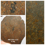 Northwest Africa 13376 LL3.4 Unequilibrated chondrite. Pat Order