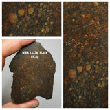 Northwest Africa 13376 LL3.4 Unequilibrated chondrite. Pat Order