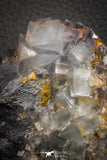 07909 -  Top Pale Blue Fluorite Crystals on Matrix Hameda Fluorite Mine South Morocco