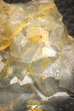 07909 -  Top Pale Blue Fluorite Crystals on Matrix Hameda Fluorite Mine South Morocco