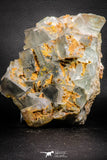 07910 -  Top Pale Blue Fluorite Crystals on Matrix Hameda Fluorite Mine South Morocco