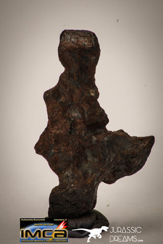 22411 - Collector Grade 14.4g "Agoudal" Imilchil Iron IIAB Meteorite