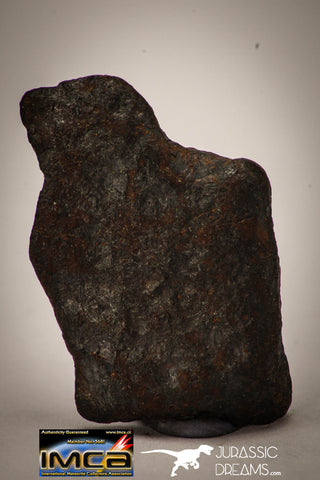 22413 - Collector Grade 16.8g "Agoudal" Imilchil Iron IIAB Meteorite