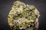 07916 - Slender Grass Green Epidote Crystals on Matrix Imilchil Mine Morocco