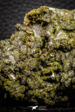 07916 - Slender Grass Green Epidote Crystals on Matrix Imilchil Mine Morocco